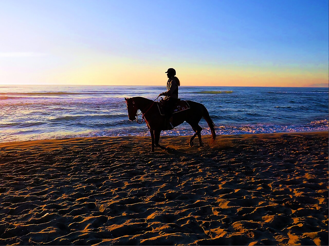 Passeggiata a cavallo sulla spiaggia