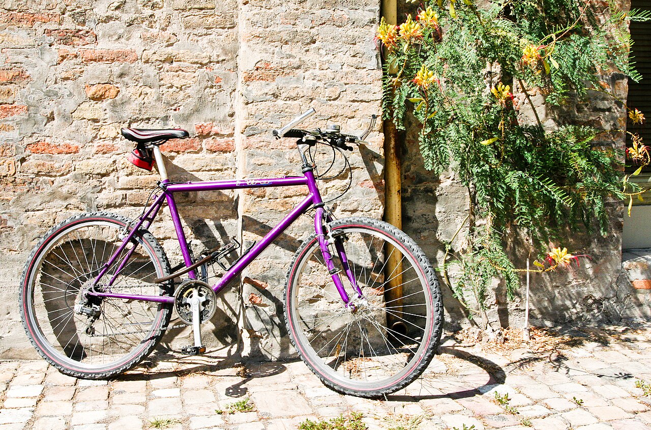 Bicicletta a Ravenna